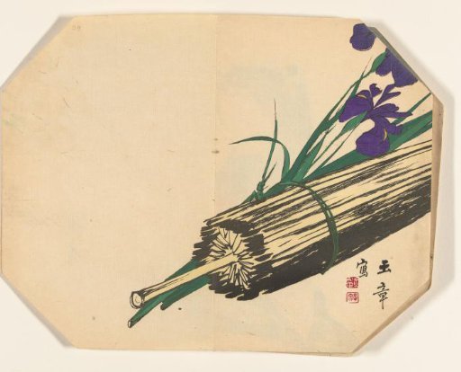 Parasol and irises