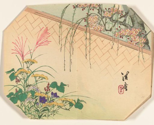 Garden with autumn flowers