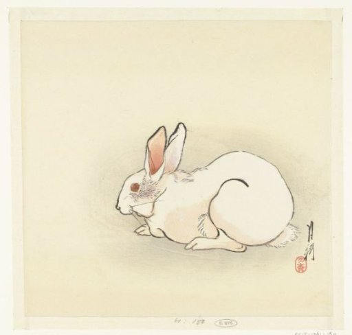 White Rabbit