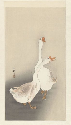 Two Geese