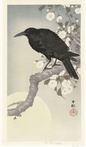 Crow under the Full Moon