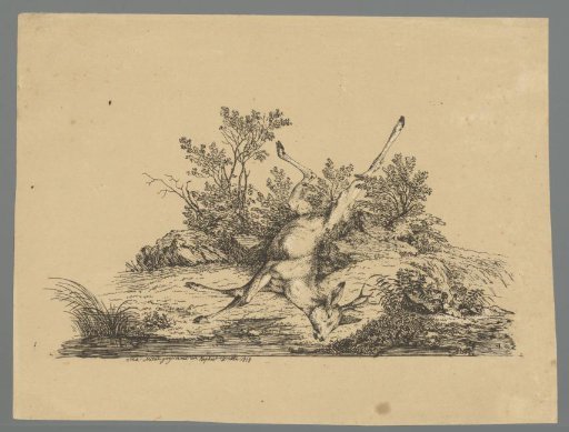 Dead stag