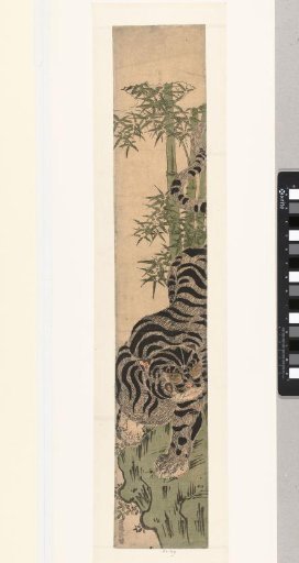 Tiger on a Rock by Bamboo
