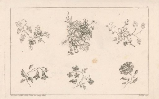 Flowers and grape clusters