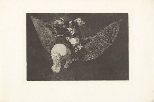 Flying Folly