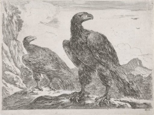 Two eagles with heads to the right