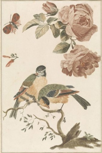 A titmouse and a great tit on a branch, two roses and a butterfly