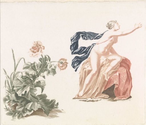 Poppy and a nude female figure