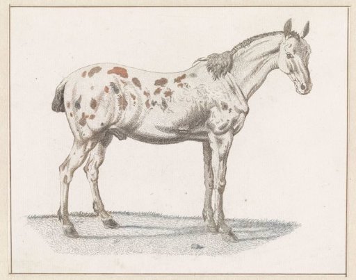 Horse to the right