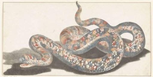 Snake