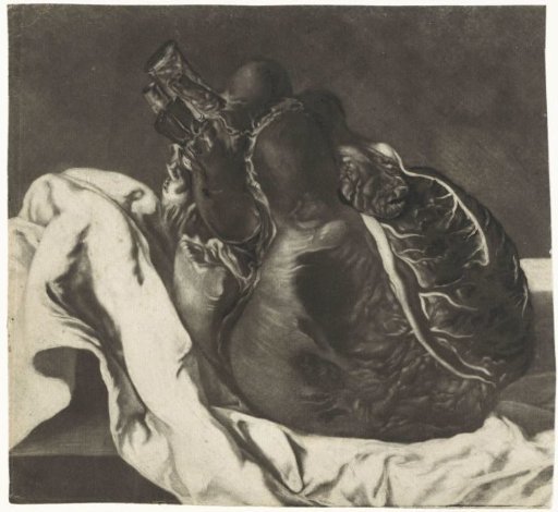 Prints of the brain and the heart