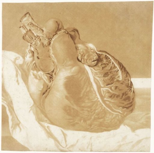 Prints of the brain and the heart