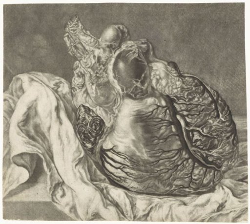 Prints of the brain and the heart