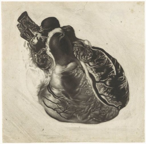 Prints of the brain and the heart