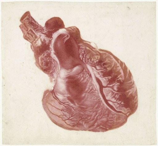 Prints of the brain and the heart