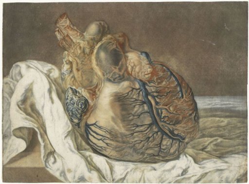 Prints of the brain and the heart