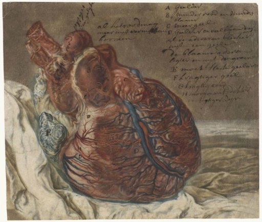 Prints of the brain and the heart