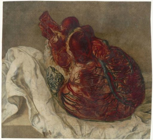 Prints of the brain and the heart