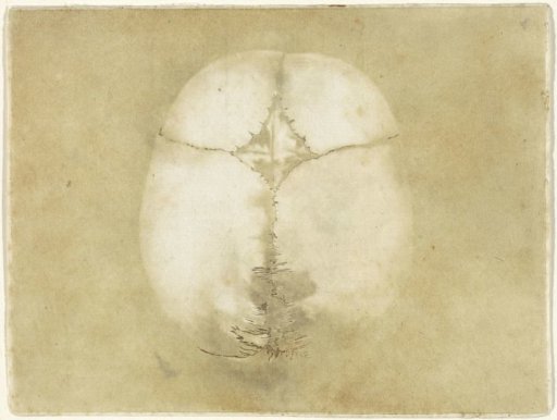 Plates of the Brain and the Heart