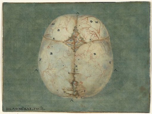 Plates of the Brain and the Heart