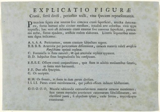 Sheet with an explanation of the anatomical study of a human skull by Jan L'Admiral