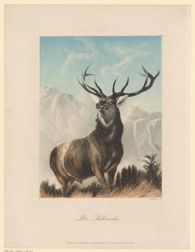 Stag in the Mountains