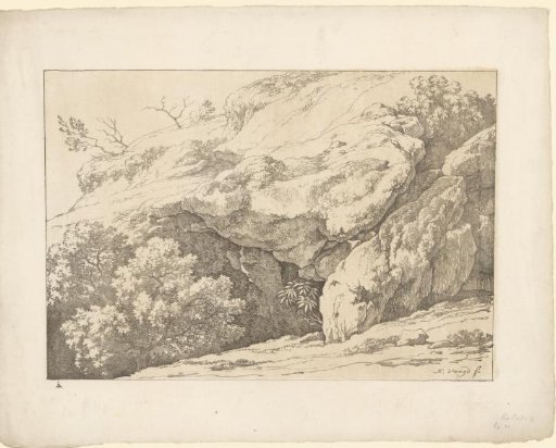 Rocks with bushes