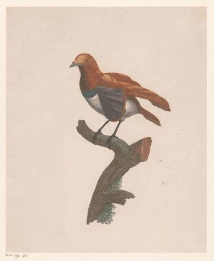 Bird on a branch