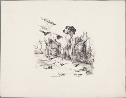 Two dogs by a fence