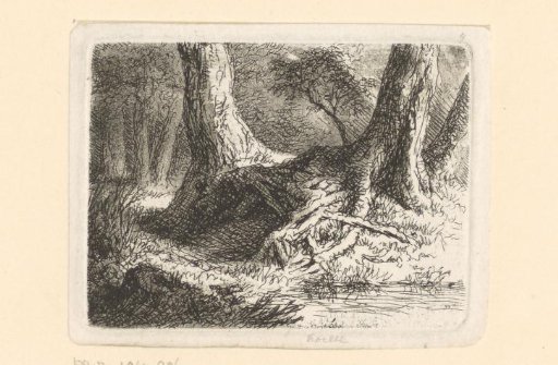 Landscape with tree roots by a stream