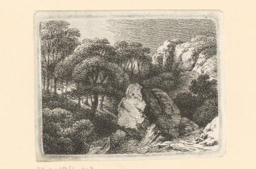 Rocky landscape with trees