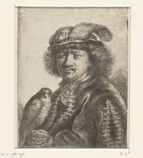 Man with a Falcon