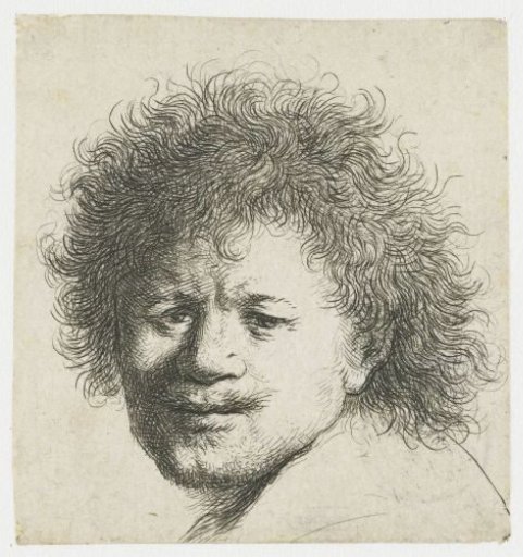 Self-portrait with long bushy hair: head only