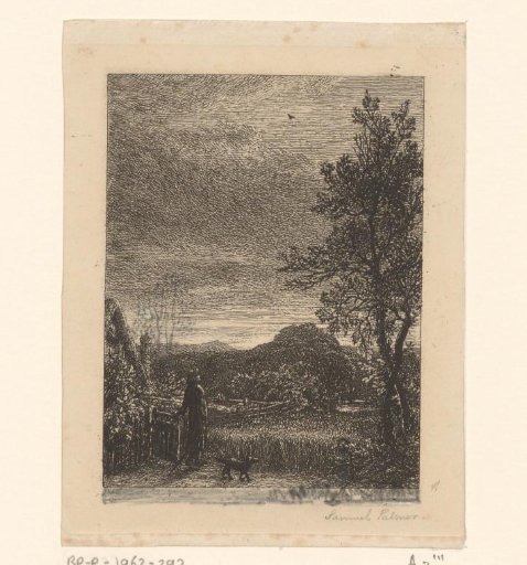 Man and dog looking at a lark