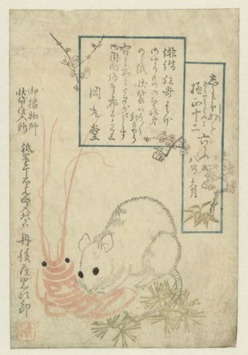 Rat with crayfish