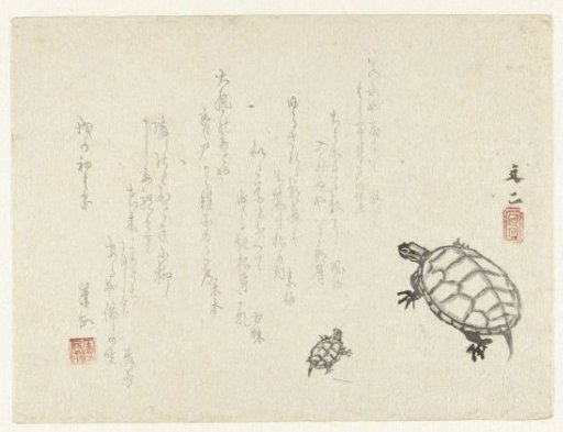Two Turtles