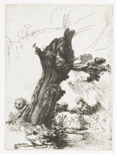 St Jerome beside a Pollard Willow