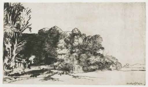 Clump of trees with a vista