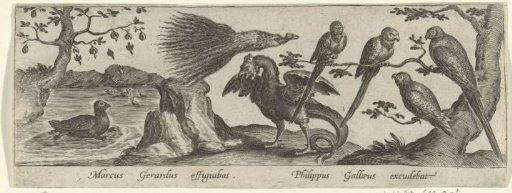Parrots and mythical creatures