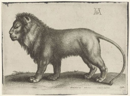 Standing Lion
