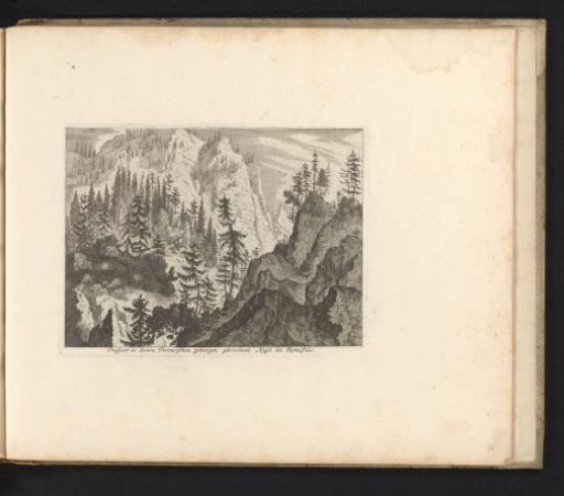 Mountain Landscape with Coniferous Trees