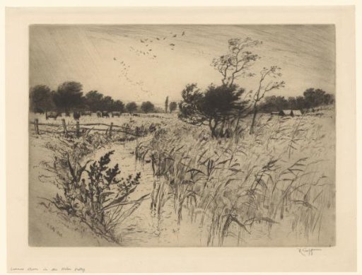 View of a meadow with cows, a ditch and birds in the air