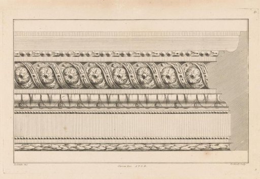 Frame with floral motifs and tulips