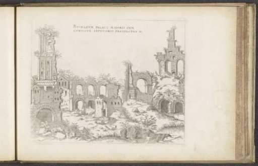 View of the Palatine with the Septizonium
