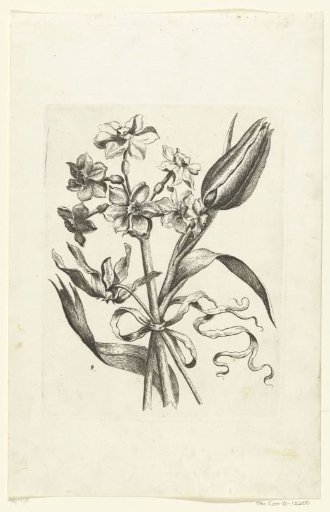Three flowers, a tulip on the right