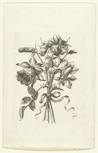 Three flowers, including a narcissus and a carnation