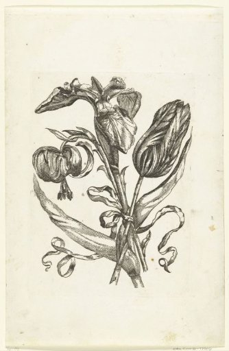 Lily, Iris, and Tulip