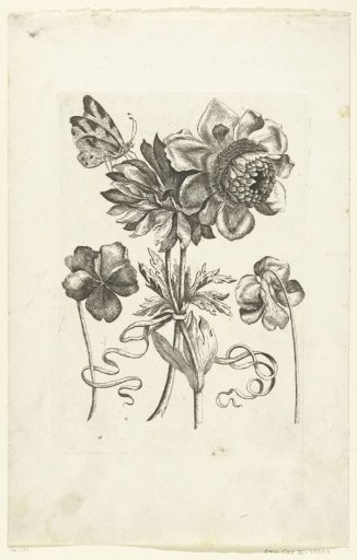 Four Flowers, Including Two Violets