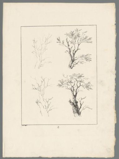Four tree branches