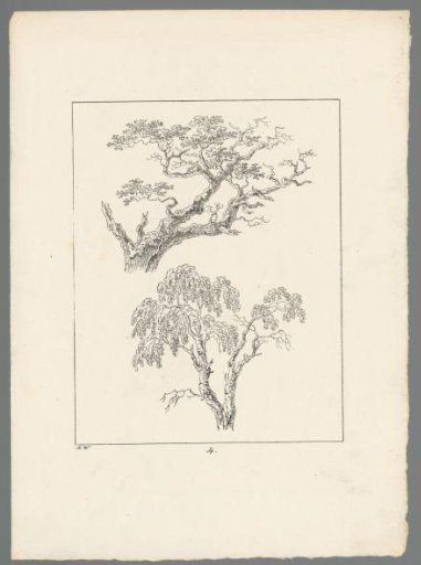 Two Tree Branches